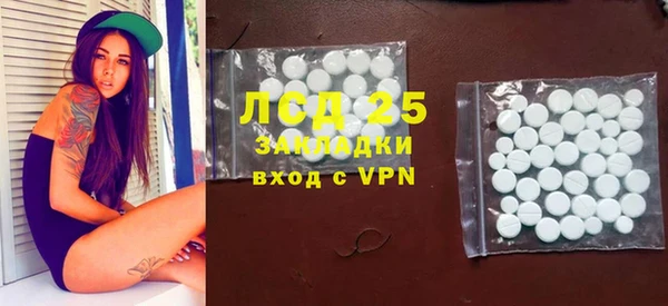 прущие грибы Магас