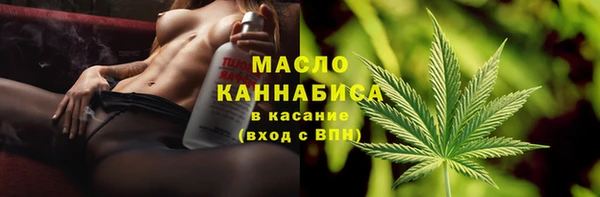 гидра Мегион