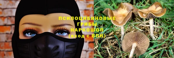прущие крисы Медногорск