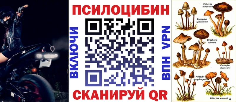 Галлюциногенные грибы мухоморы  Купить где  Междуреченск 